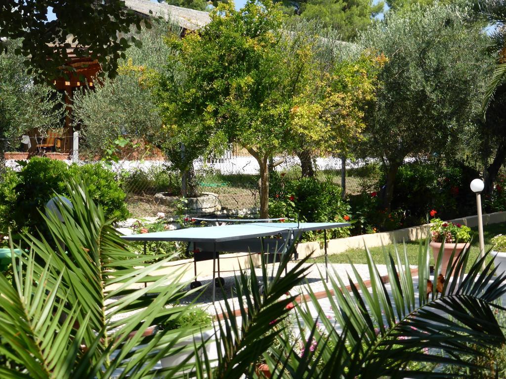 מטהמורפוסי Olympic Bibis Hotel מראה חיצוני תמונה
