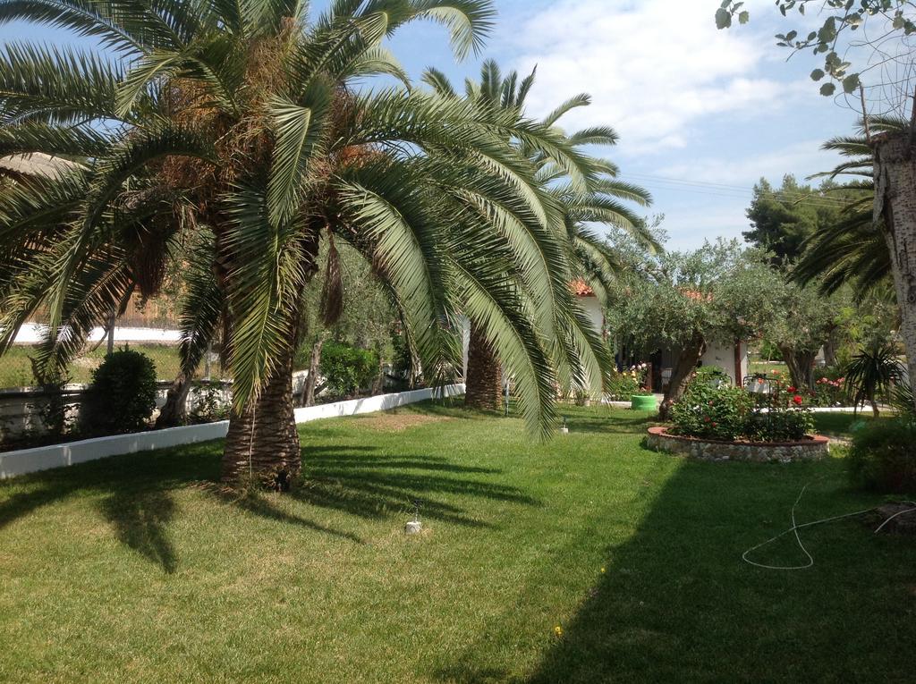 מטהמורפוסי Olympic Bibis Hotel מראה חיצוני תמונה